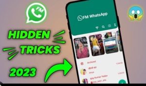 Download FM WhatsApp for a Richer Messaging Experience